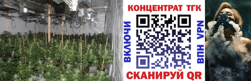 ТГК Wax  Купить закладки  Моздок 