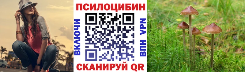 Галлюциногенные грибы Cubensis  Купить где  Моздок 